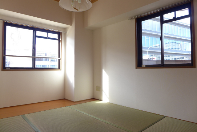 コラム5b