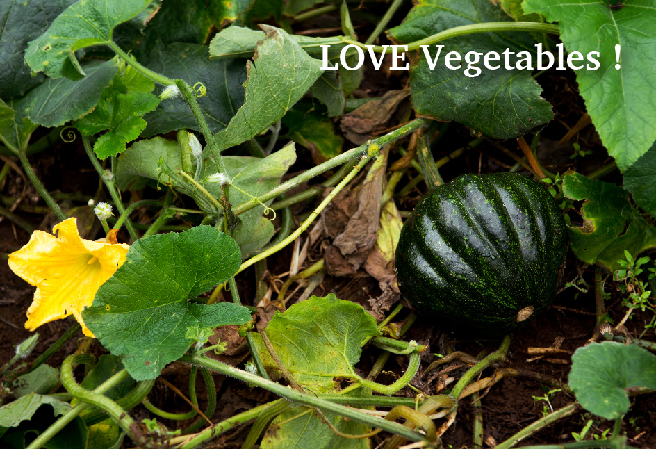 LOVE Vegetables！