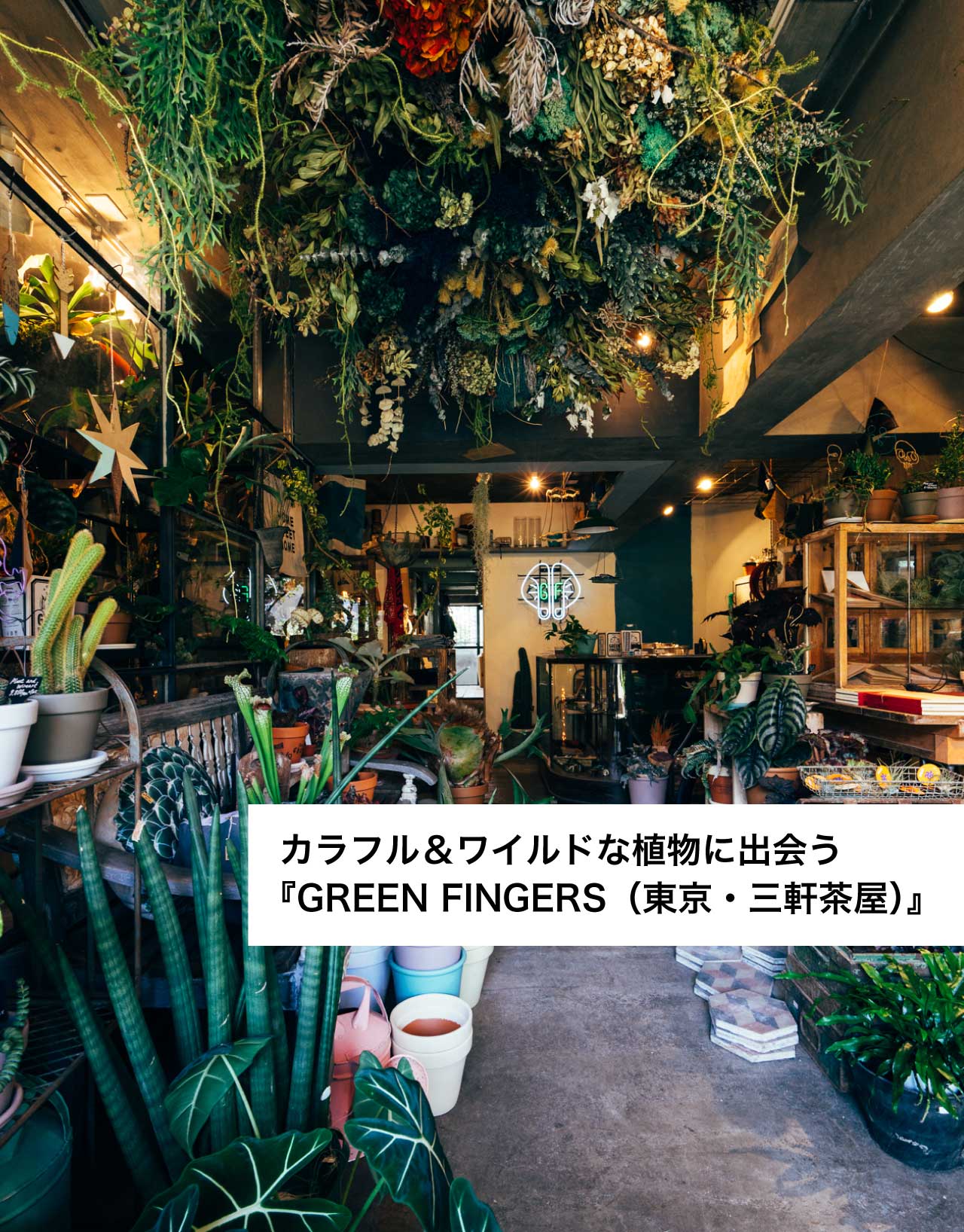 カラフル＆ワイルドな植物に出会う『GREEN FINGERS（東京・三軒茶屋）』 goodroom journal