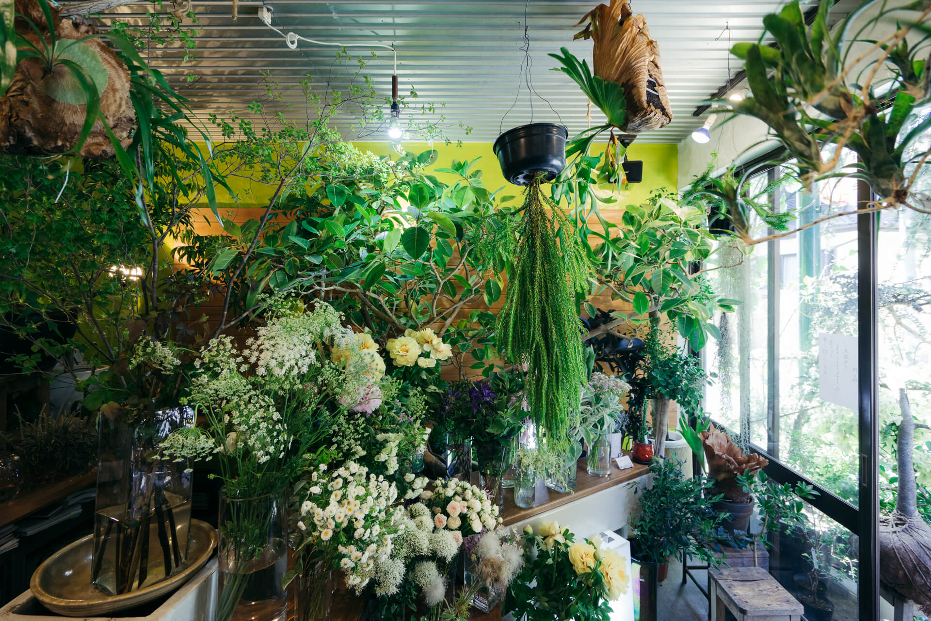 住宅街の中にある素敵な花屋さん（暮らしに寄り添う植物を探して『枝屋（東京・西荻窪）』）