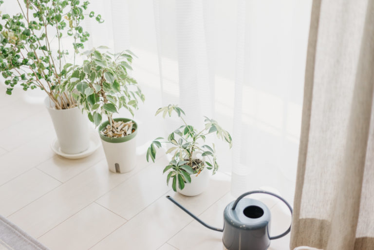 「ブルー」をアクセントにした、居心地の良い北欧インテリアの暮らし | goodroom journal