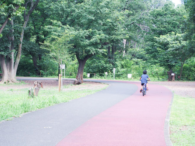 交通アクセスよし、自然あり。ファミリー世帯に勧めたい、和光市駅の魅力とはのイメージ