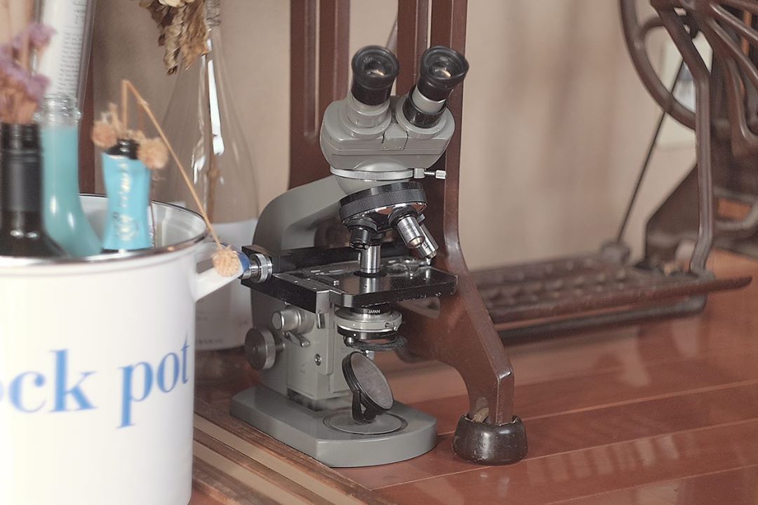 学校でよく使っていたような、懐かしい顕微鏡も！