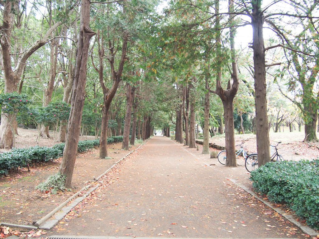 さらに平塚は、子育て支援が充実していたり、広大な敷地面積を誇る公園があったりと、ファミリー層に人気の高い街でもあります。