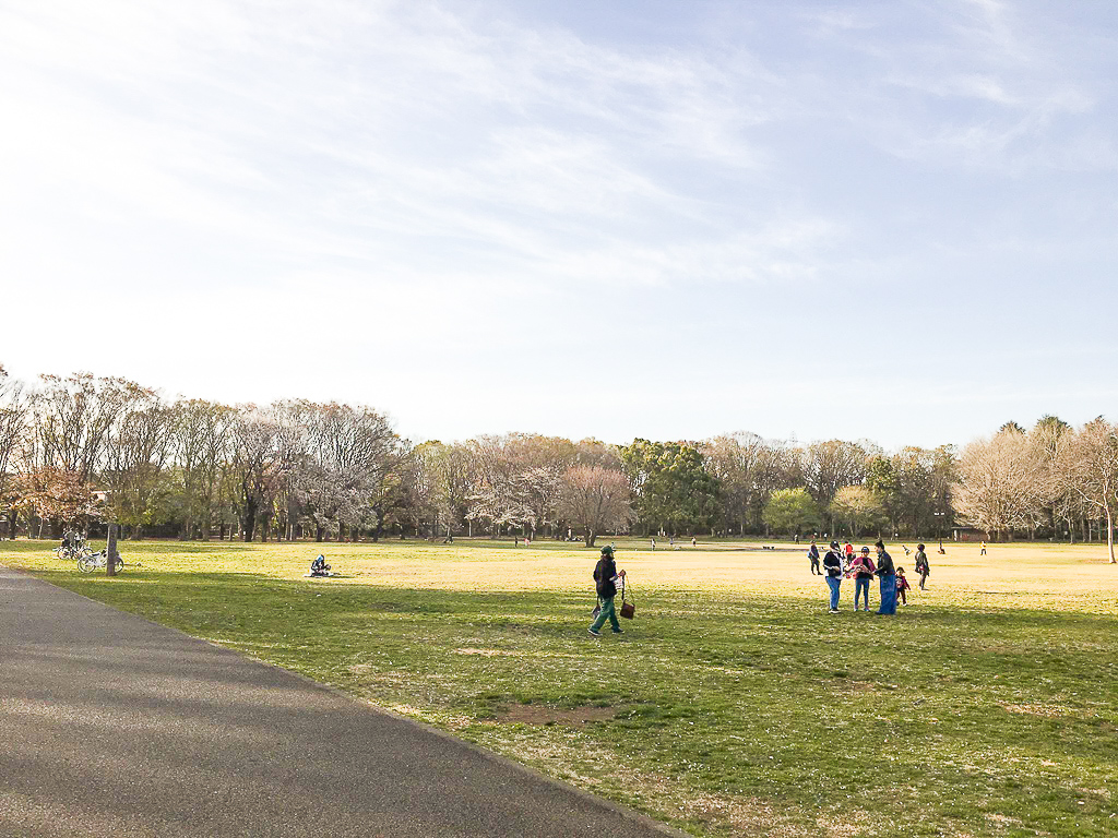 桜や雑木林を眺めながら、ピクニックもできる小金井公園。開放的で心も癒されそうです。