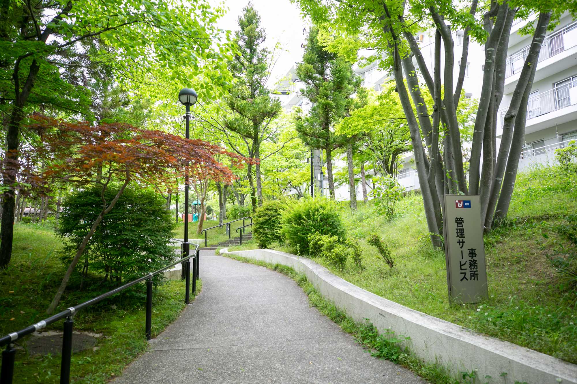平城右京団地の敷地内は、歩車分離がされていて、綺麗に整備された緑豊かな遊歩道が連なっています。小さなお子さんとも安心して歩けそうですね。
