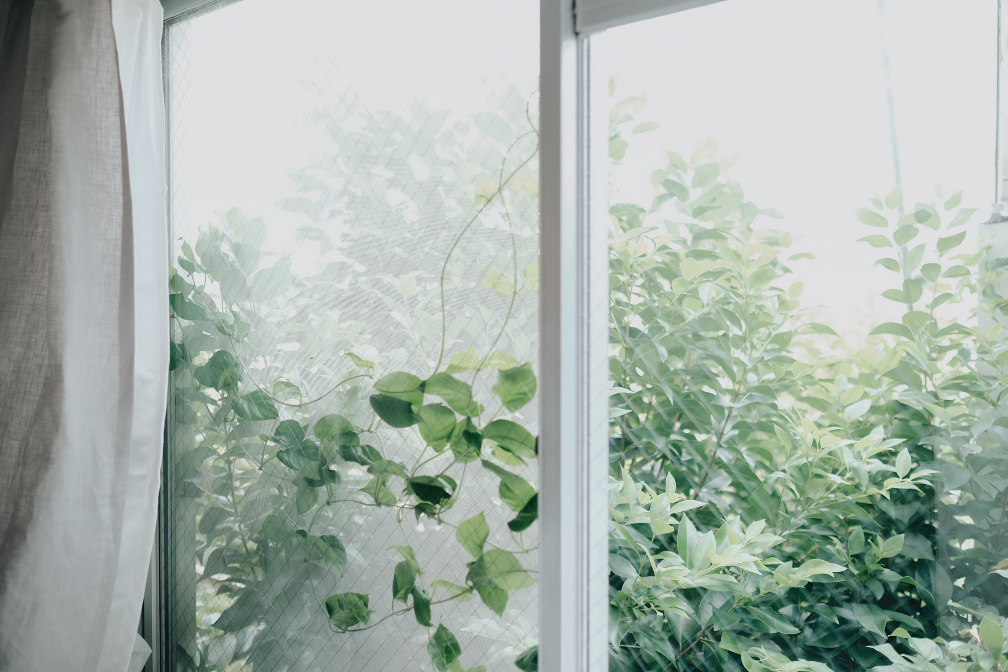 こちらのお部屋も、窓が2つあり明るいです。「夏になったら植物がぐんぐん伸びてきて、デスクに座っていても緑が目に入るのが気に入ってます」