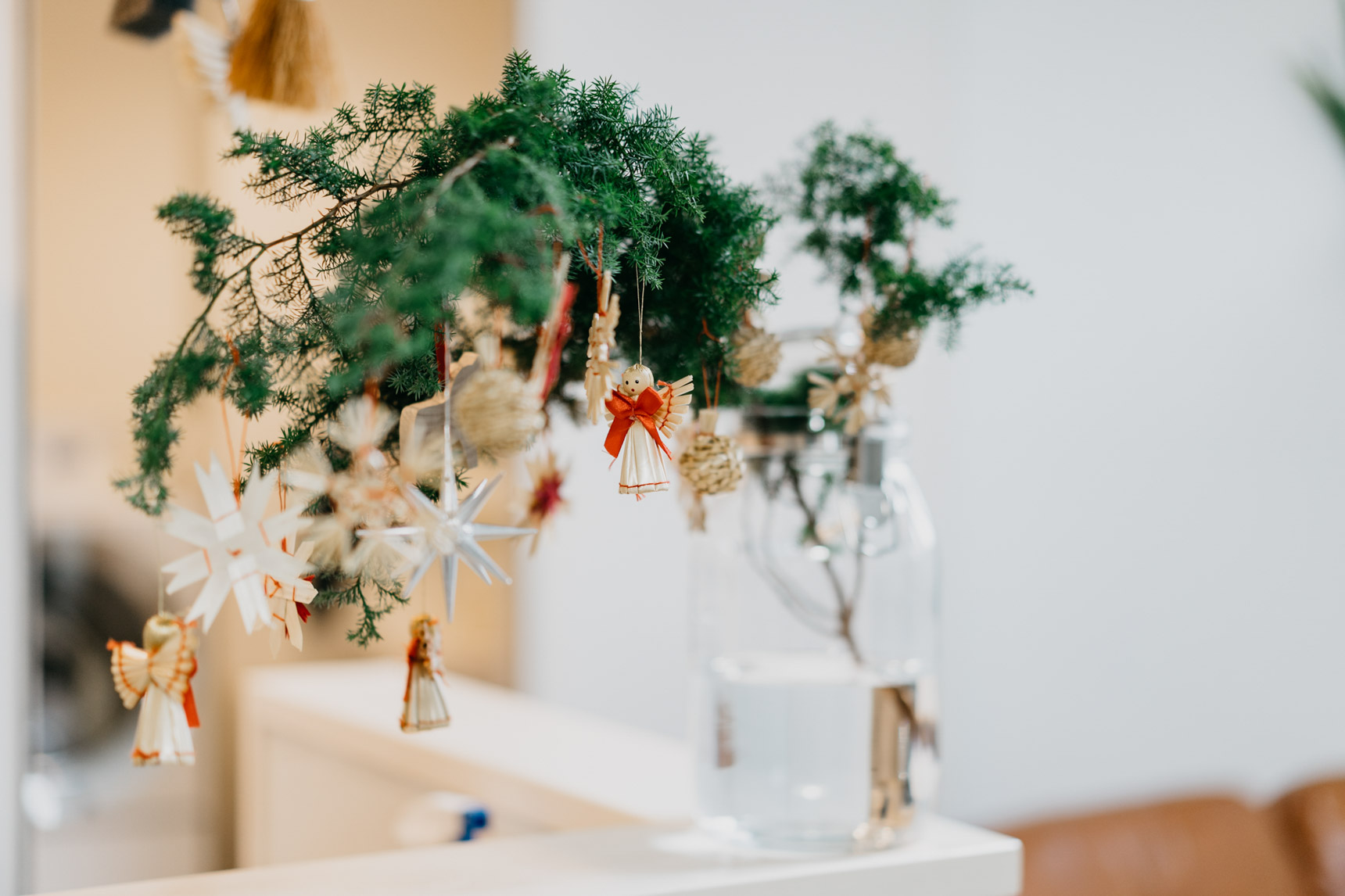 クリスマスシーズン前になると、モミやネズ枝などの、クリスマスらしい枝物などが花屋に並びます。1～2枝を大きめの花瓶に飾り、オーナメントをつければ、すっかりクリスマスらしい雰囲気に。