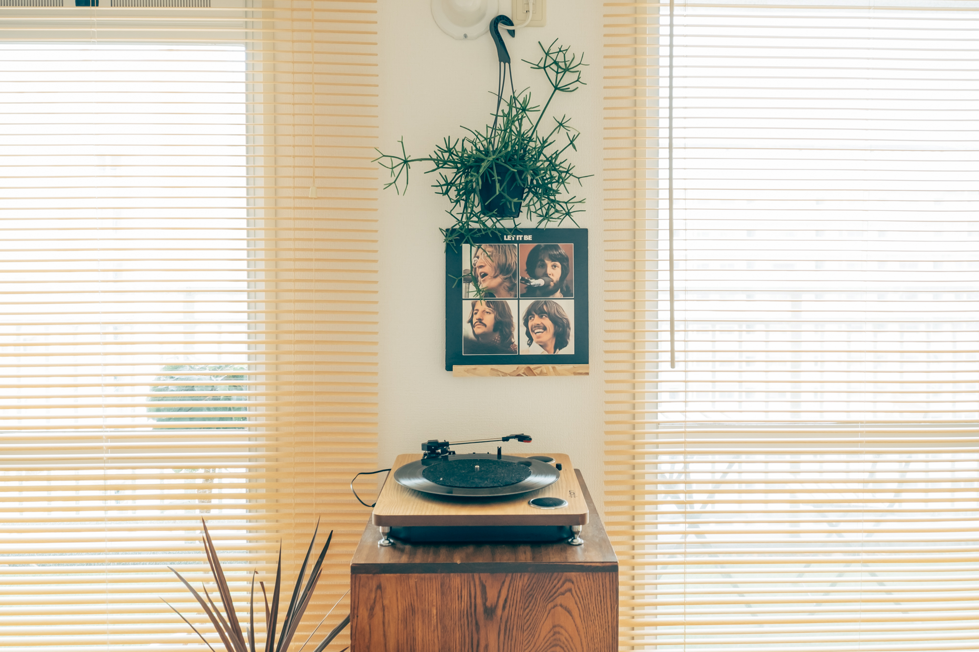 窓と窓との間には、こんなふうに植物と好きなレコードを飾って。