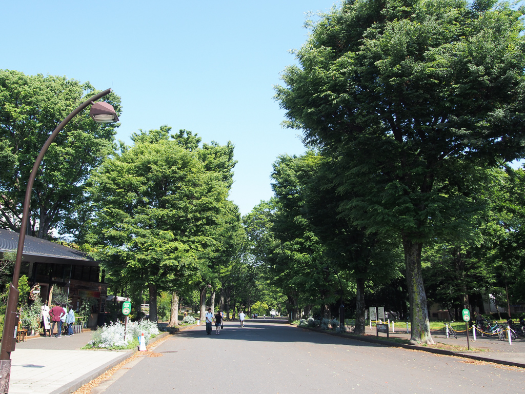 都立公園面積トップ10に入る駒沢公園がこんなに近くにあるなんて！普段はサイクリングやランニング、犬の散歩をする人など、多くの人が思い思いの過ごし方をされる、憩いの場所となっています。（駒沢公園周辺の街を取材した、こちらの記事もチェック！）
