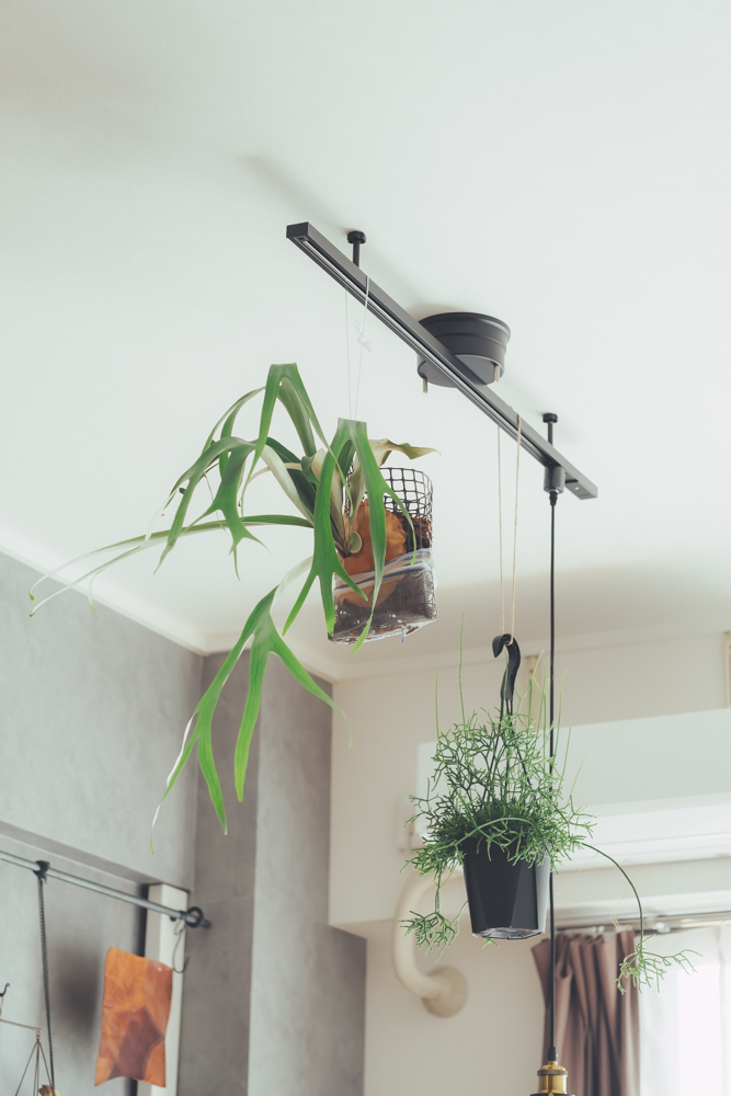 ダクトレールにすることで、植物を吊るせるように、高さや奥行きが生まれることでより立体感のあるお部屋づくりが出来るようになっていました。
