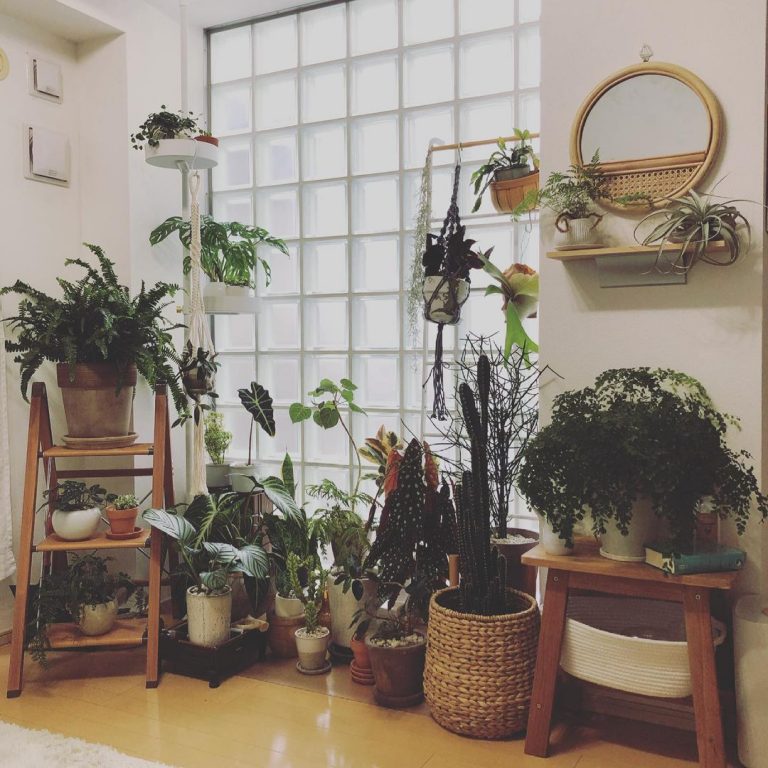 小さなお部屋でもグリーンを楽しもう。おしゃれな植木鉢・プランターのあるお部屋まとめ | goodroom journal