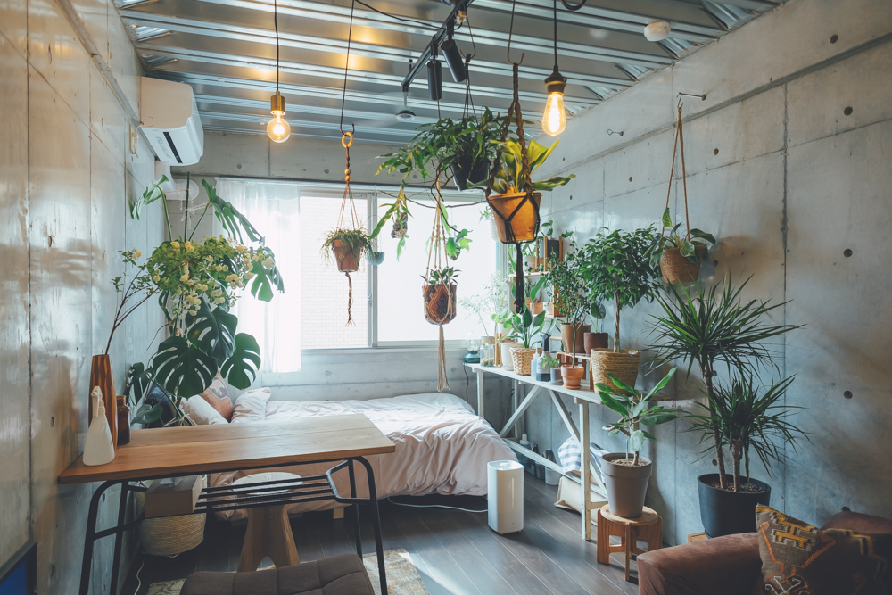都心などに住んでいると、なかなか感じづらい「自然」。ですが小さな植物がお部屋にあるだけで、季節の移ろいや、植物の成長を通じて自然を感じることができるようになります。（ボタニカルインテリアの実例集はこちら）