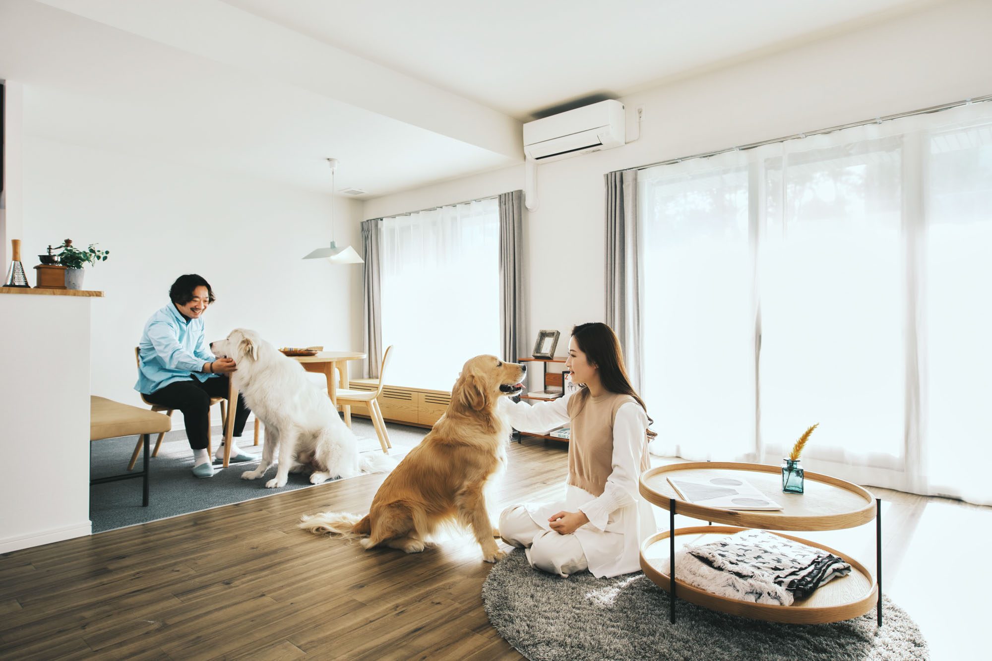 賃貸でも、大型犬 or 猫3匹まで飼育OK!ドッグランやキャットウォークのある「コンフォリア高島平」のペット特化型住戸を紹介します ...
