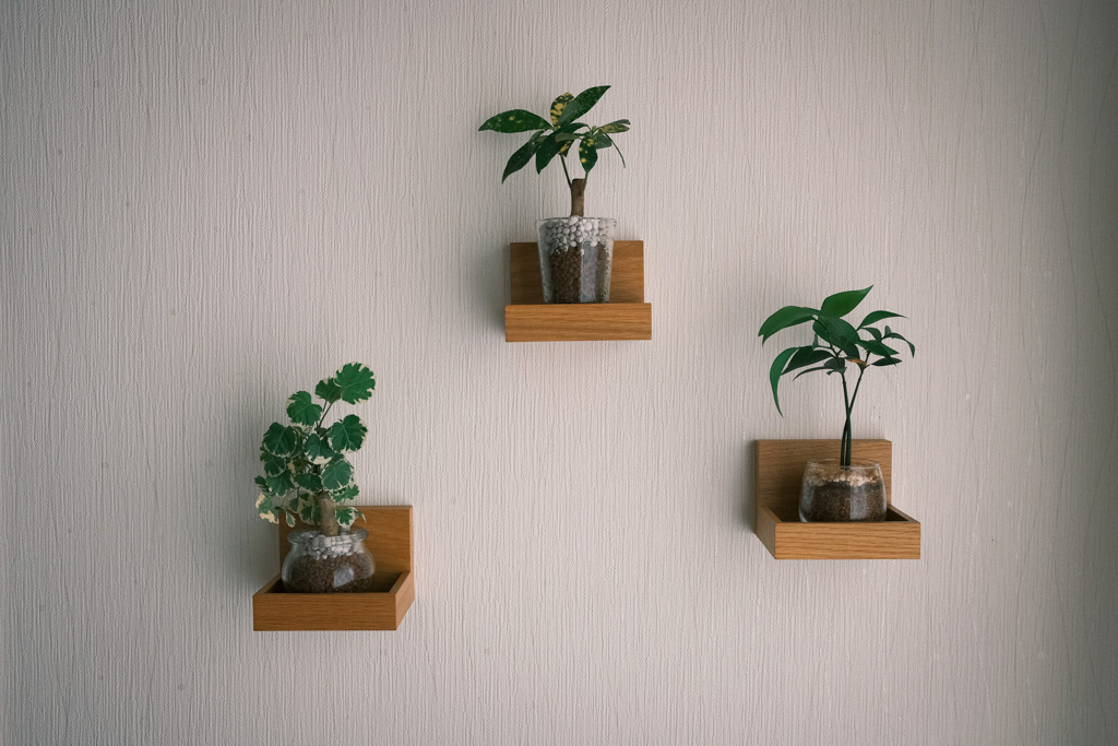 空いた壁にちょこんと飾られた植物。見るだけで元気がもらえそう。
