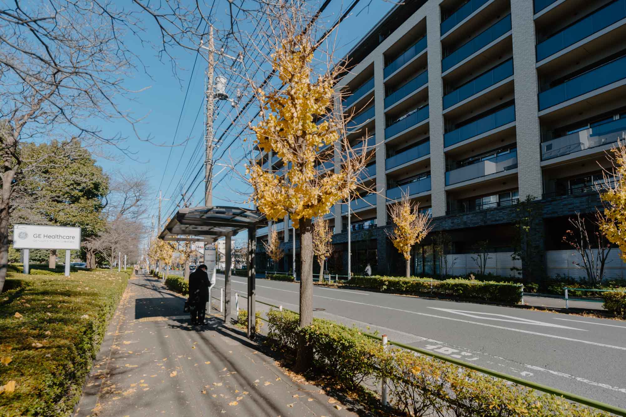 「旭が丘中央公園」の前にバス停があって、豊田駅へのアクセスもスムーズです。