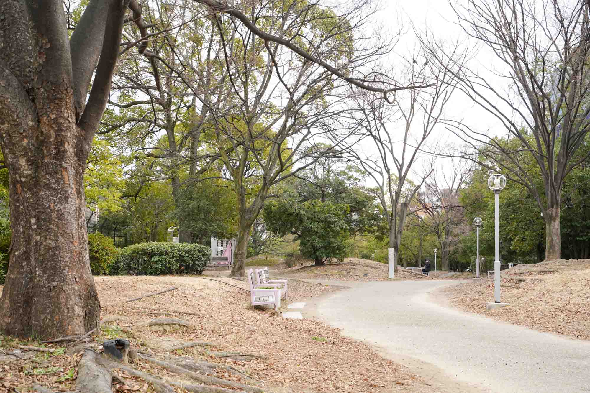 物件名にもなっている「江坂公園」。リモートワークの息抜きやランチの帰りに、運動がてら歩くのにちょうどよさそう。