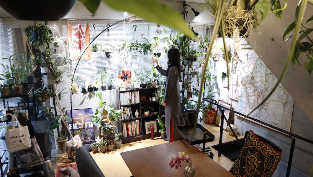 50種類以上の植物と暮らす秘密基地。一人暮らしの1LDKインテリア