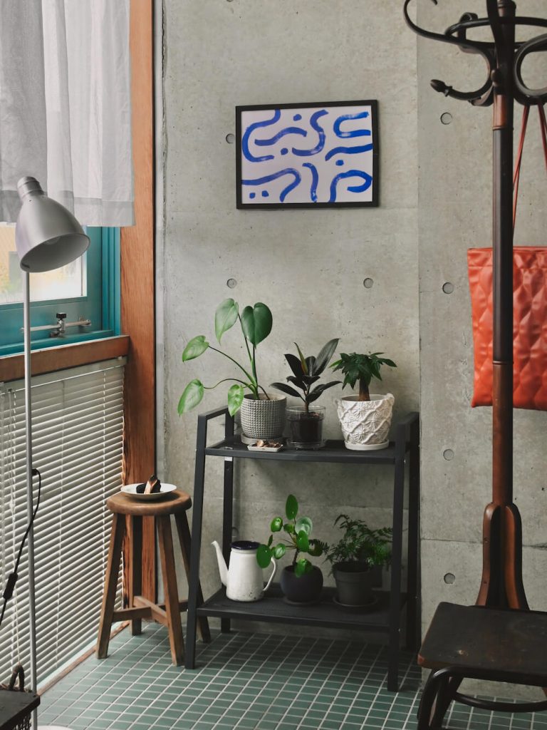 センスがいい人の「植物との暮らし方」。おしゃれなレイアウト実例6選 | goodroom journal