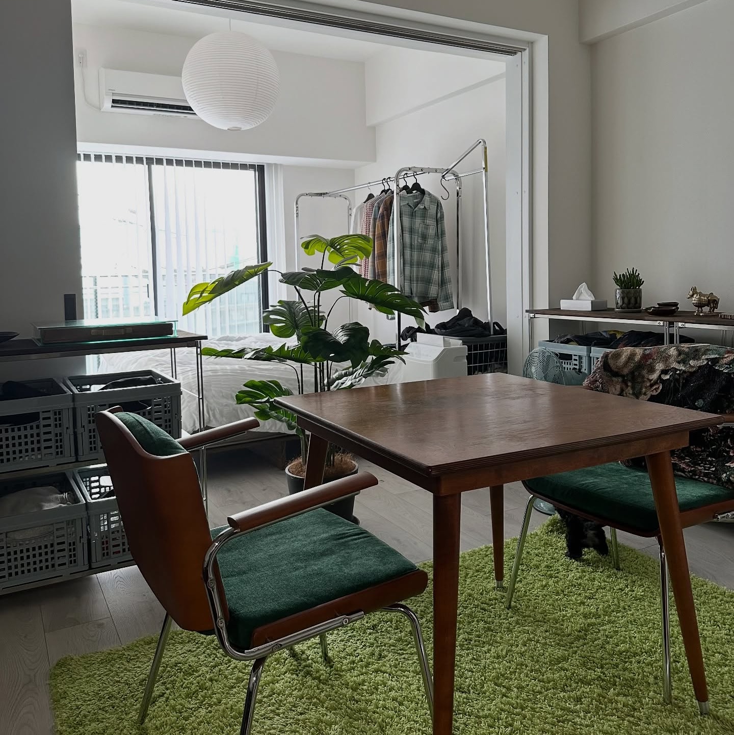 小さな空間を明るく、広く見せる。二人暮らしの1LDKインテリア