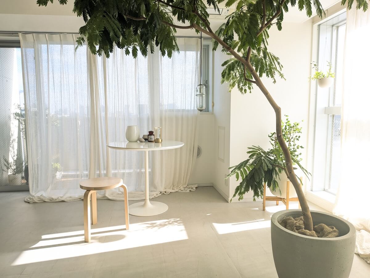 30代一人暮らしシンプリストの「日々の楽しみ」。仕事のパフォーマンス向上にも繋がる習慣に