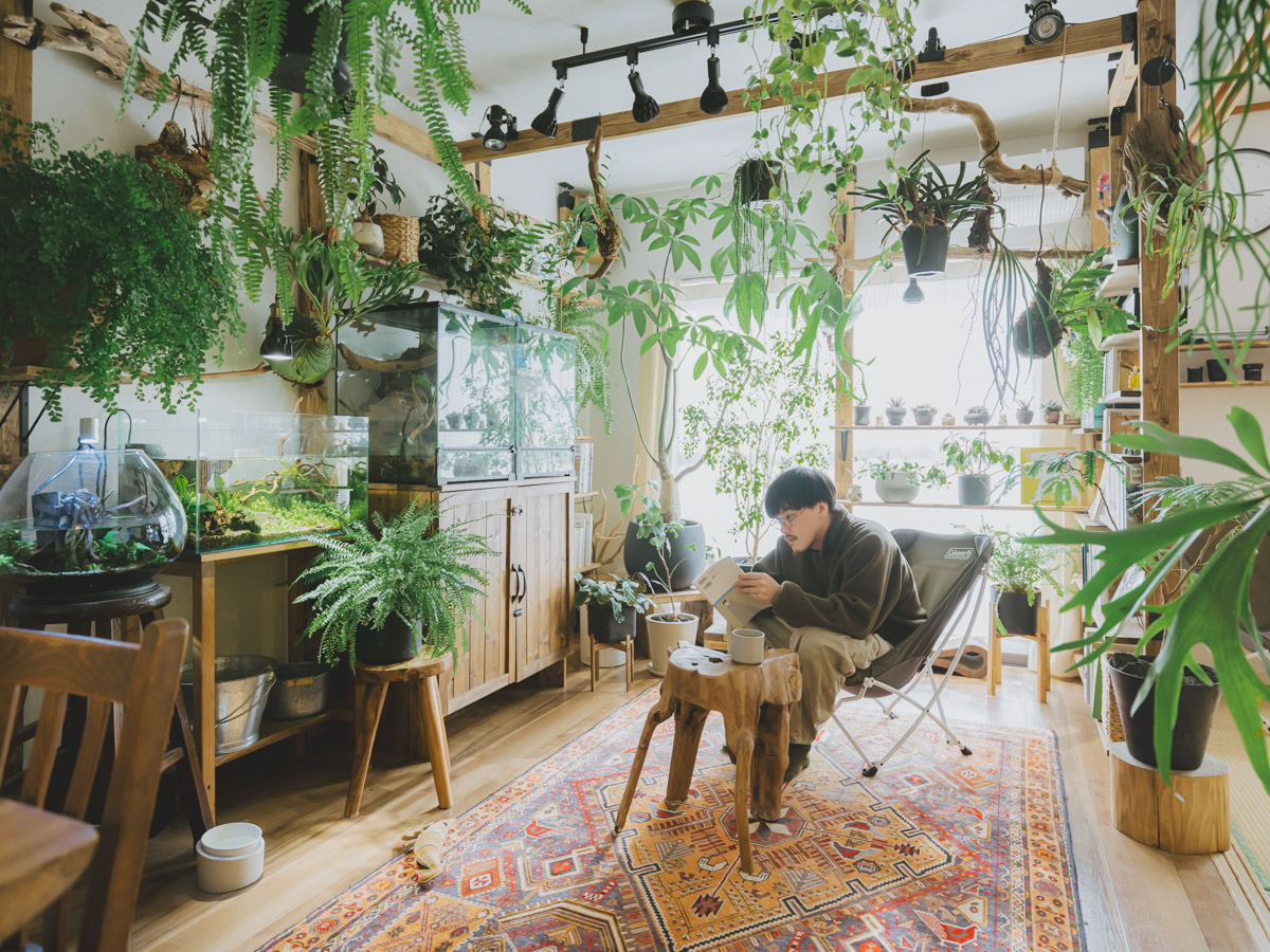 築34年の3DKで始める猫と植物との暮らし。二人暮らしのインテリア